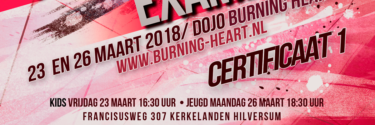 kickboks certificaat Dojo Burning Hesrt